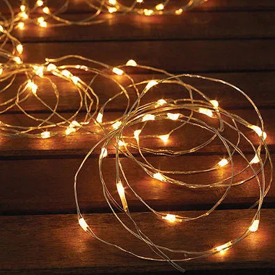 5 Meter/16 Feet Micro LED Fairy string light 5M/50 lights waterproof. Silver/Copper wire/ white light, warm white