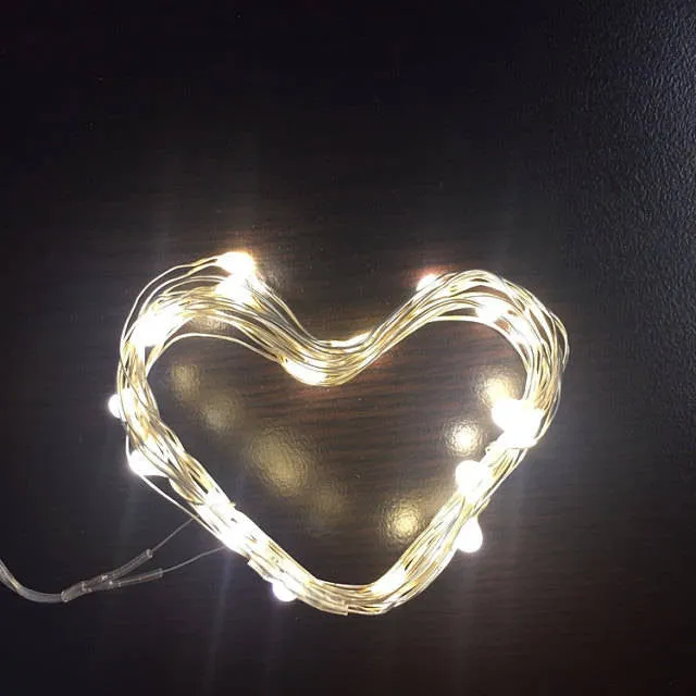5 Meter/16 Feet Micro LED Fairy string light 5M/50 lights waterproof. Silver/Copper wire/ white light, warm white