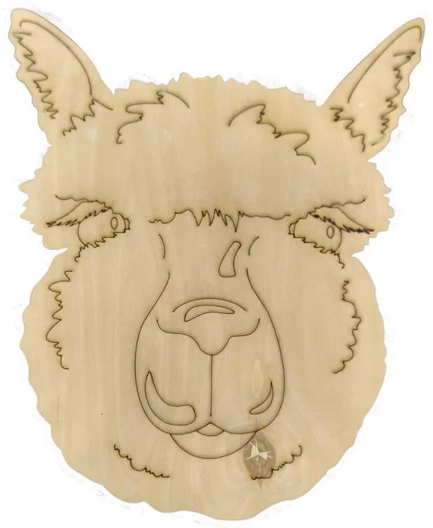 Alpaca-DIY Pop Art Paint Kit