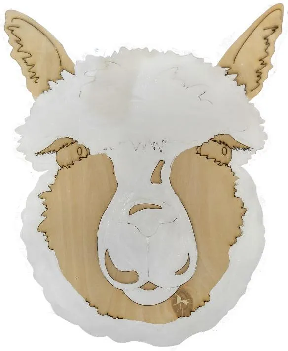 Alpaca-DIY Pop Art Paint Kit