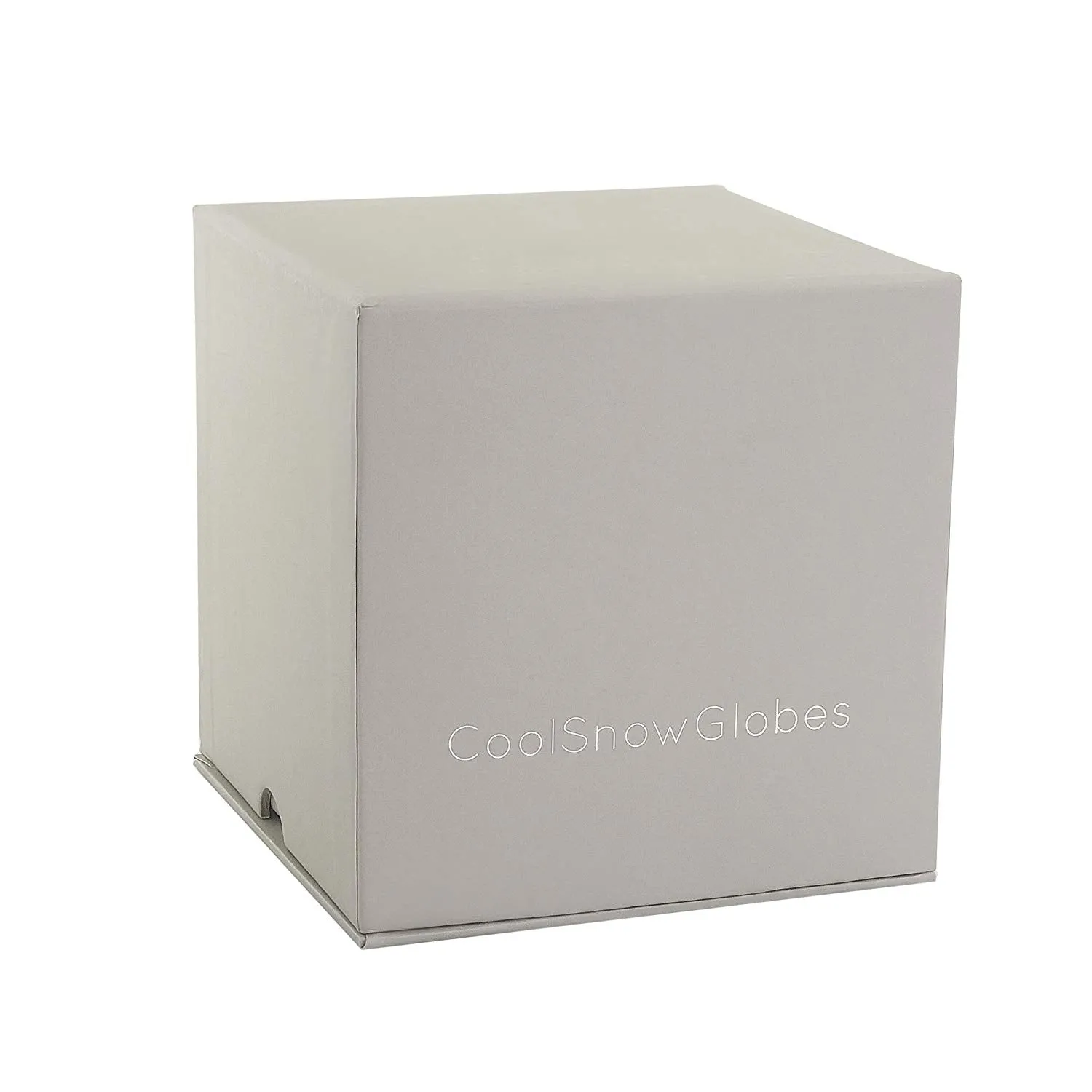 CoolSnowGlobes - Chickadee Snow Globe