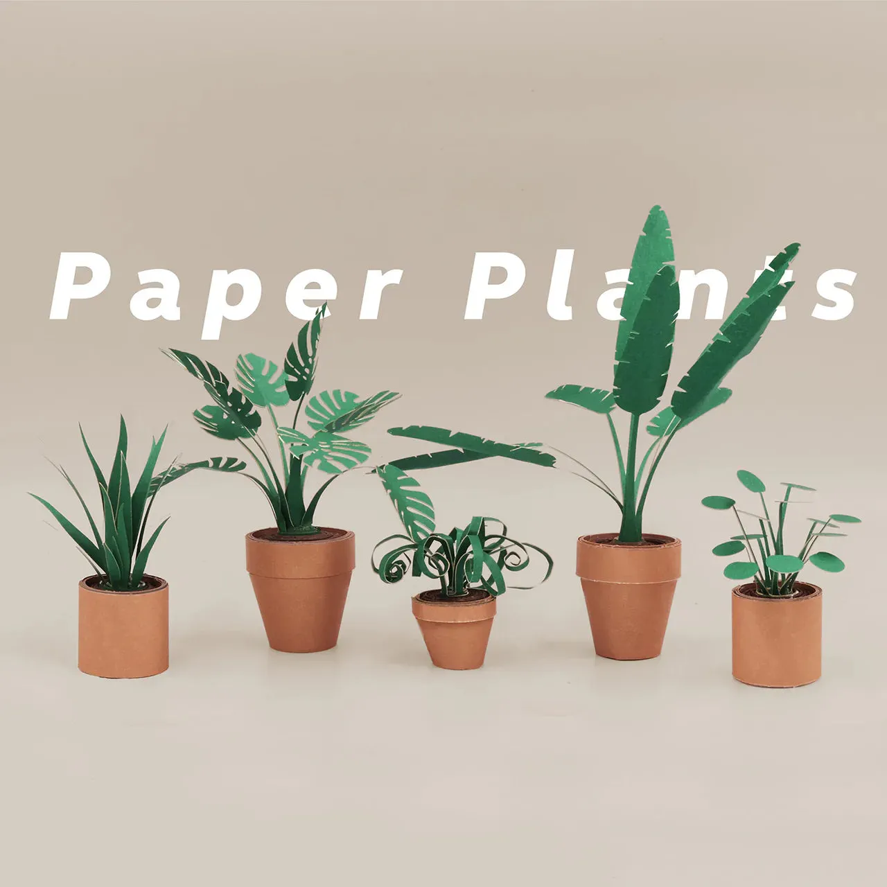 Pikkii Paper Plants Craft Kit
