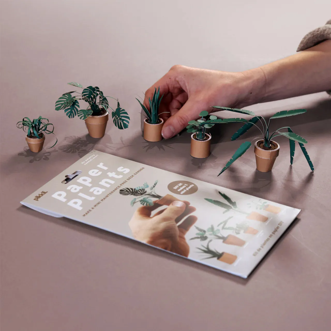 Pikkii Paper Plants Craft Kit