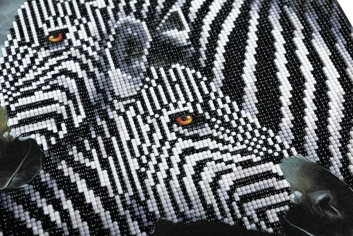 "Zebra Hugs" Crystal Art Kit 30x30cm