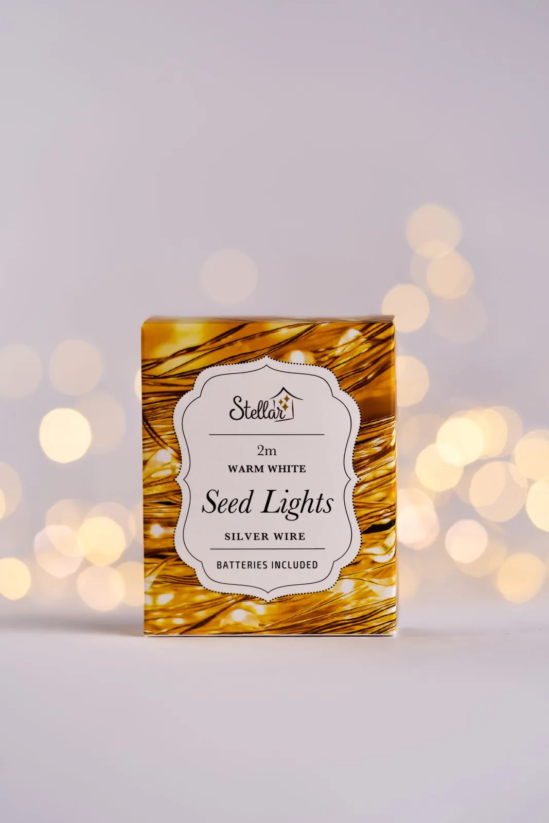 Stellar 2m Silver Warm White 20 LED Seed Lights String