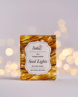 Stellar 2m Silver Warm White 20 LED Seed Lights String