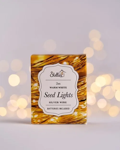 Stellar 2m Silver Warm White 20 LED Seed Lights String